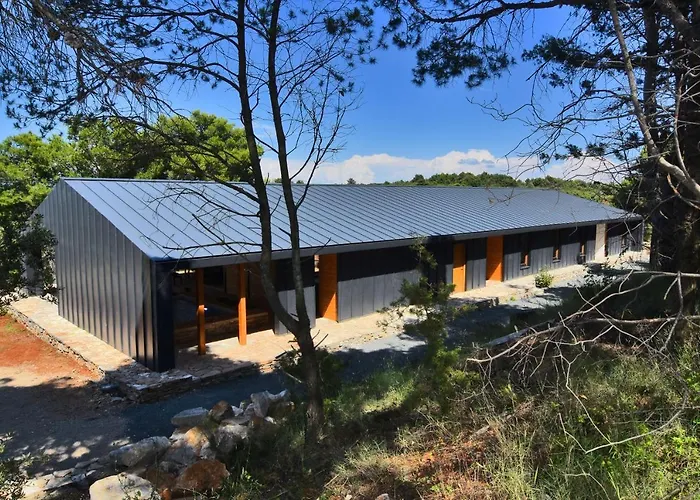 Vela Baraka * Dragove