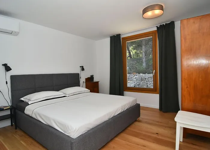 Vela Baraka * Dragove